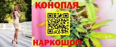 наркотики Будённовск