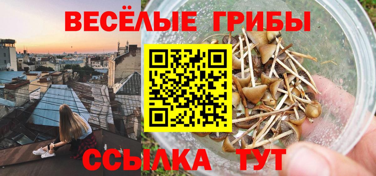 Псилоцибиновые грибы GOLDEN TEACHER Тейково